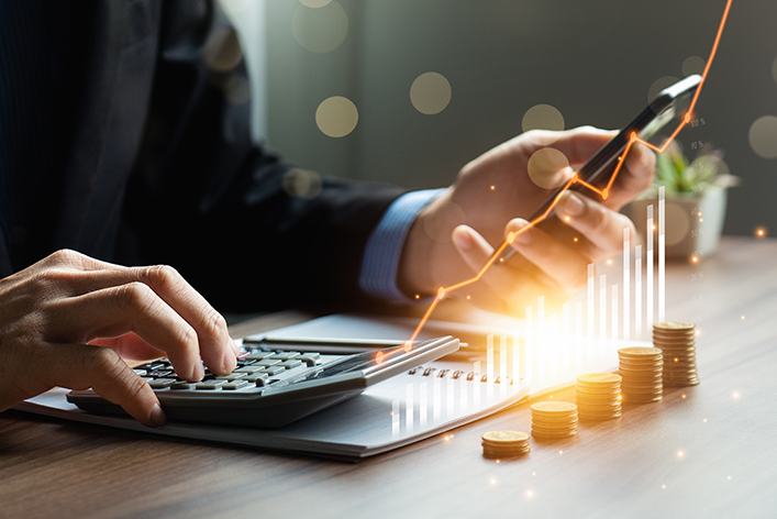  International Public Sector Accounting Standards (CertIPSAS)